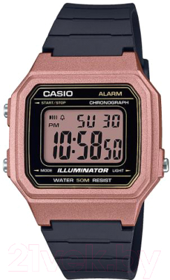 Часы наручные мужские Casio W-217HM-5AVEF - фото