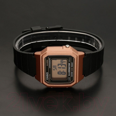 Часы наручные мужские Casio W-217HM-5AVEF