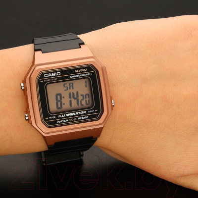 Часы наручные мужские Casio W-217HM-5AVEF