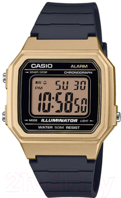 Часы наручные мужские Casio W-217HM-9AVEF - фото
