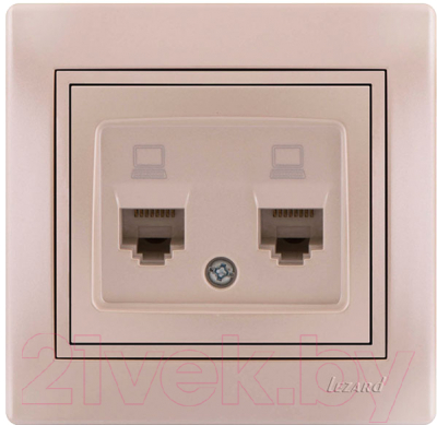 Розетка Lezard Mira 701-3030-141 - фото