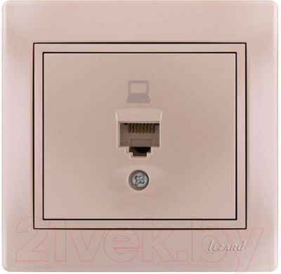 Розетка Lezard Mira 701-3030-139 - фото