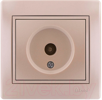 Розетка Lezard Mira 701-3030-129 - фото