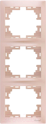 Рамка для выключателей и розеток Lezard Mira 701-3000-153 - фото