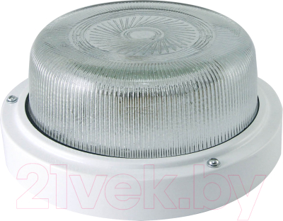 Светильник ЖКХ TDM SQ0311-0019 - фото