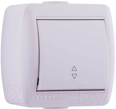 Выключатель Lezard Nata 710-0200-105 - фото