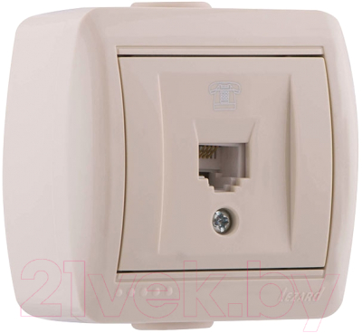 Розетка Lezard Nata 710-0300-137 - фото