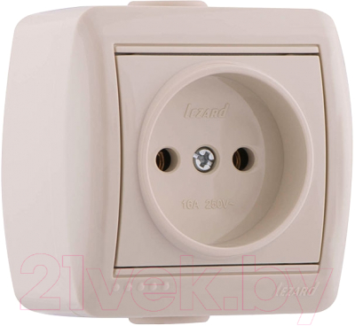 Розетка Lezard Nata 710-0300-121 - фото