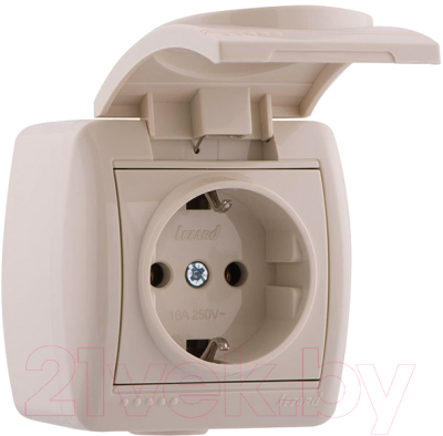Розетка Lezard Nata 710-0300-123 - фото