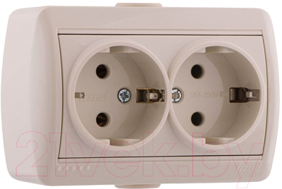 Розетка Lezard Nata 710-0300-127 - фото