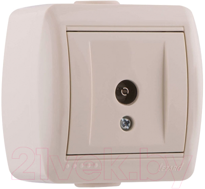 Розетка Lezard Nata 710-0300-130 - фото