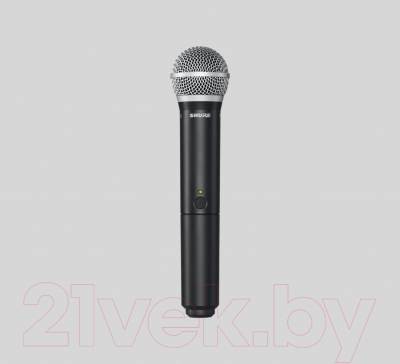 Радиосистема микрофонная Shure BLX288E/PG58 M17