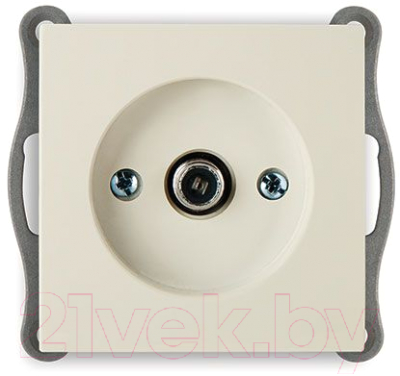 Розетка Nilson Touran 24120465 - фото