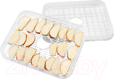 Сушилка для овощей и фруктов Scarlett SC-FD421T19