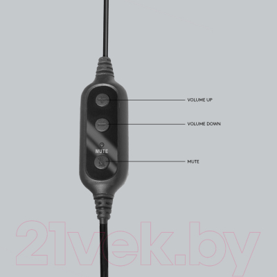 Наушники-гарнитура Logitech PC Headset 960 USB