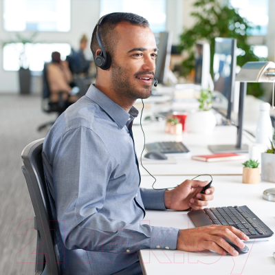 Наушники-гарнитура Logitech PC Headset 960 USB