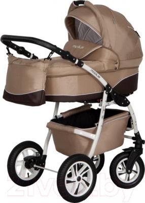 Детская универсальная коляска Riko Modus 2 в 1 - фото