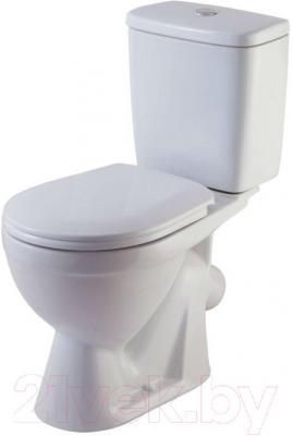 Унитаз напольный Rosa Лира (белый) - фото