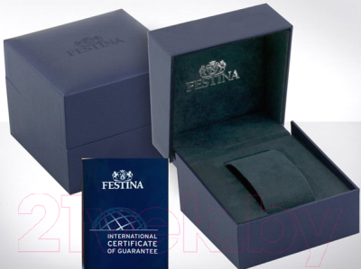 Часы наручные мужские Festina F16745/5