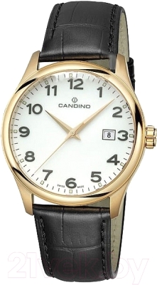 Часы наручные мужские Candino C4457/1 - фото