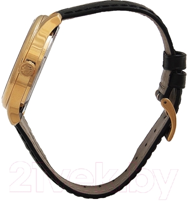 Часы наручные мужские Candino C4457/1