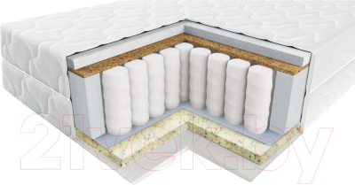 Матрас Vegas Хит 2 70x195 - фото