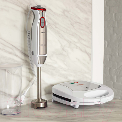 Блендер погружной Aresa AR-1106