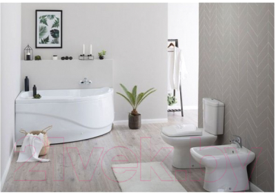 Экран для ванны Aquanet Graciosa 150 L