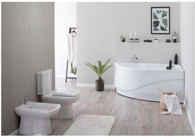 Экран для ванны Aquanet Graciosa 150 R