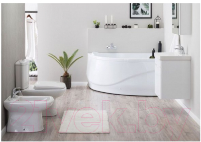 Экран для ванны Aquanet Graciosa 150 R