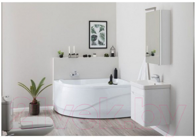 Экран для ванны Aquanet Graciosa 150 R