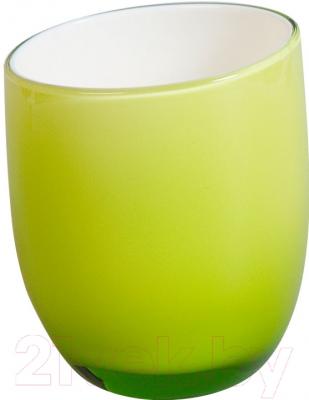 Стакан для зубной щетки и пасты Tatkraft Repose Green 12318 - фото