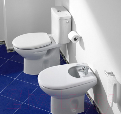 Унитаз напольный Roca Victoria 7342399000 + 734139Z000 + ZRU8013920