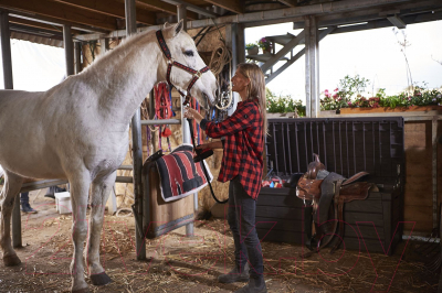 Сундук уличный Keter Brightwood 120 / 230400