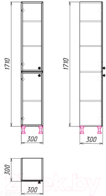 Шкаф-пенал для ванной Гамма 50.03 ОФ2