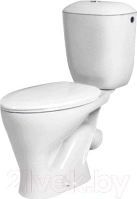 Унитаз напольный Santeri Воротынский 1P4017S0100BF - фото