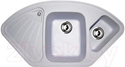 Мойка кухонная Zigmund & Shtain Eckig 1000.2 - фото