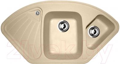 Мойка кухонная Zigmund & Shtain Eckig 1000.2 - фото