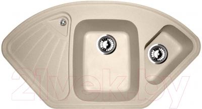 Мойка кухонная Zigmund & Shtain Eckig 1000.2 - фото