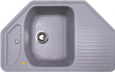 Мойка кухонная Zigmund & Shtain Eckig 800 - фото