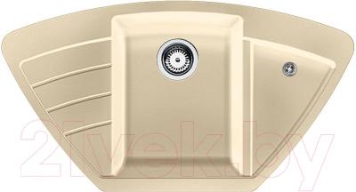 Мойка кухонная Zigmund & Shtain Eckig 900 (молодое шампанское) - фото