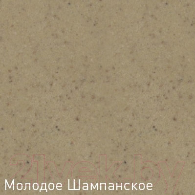 Мойка кухонная Zigmund & Shtain Platz 560