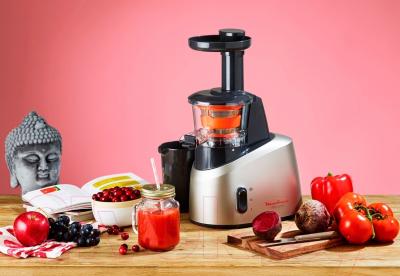 Соковыжималка электрическая Moulinex ZU255B10