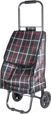 Сумка-тележка Рыжий кот D203ECO - фото