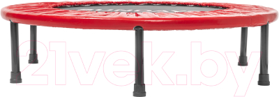 Батут Sundays D91