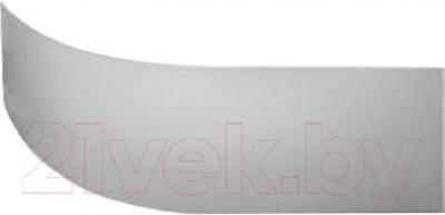 Экран для ванны Ventospa Nika 160x105 - фото