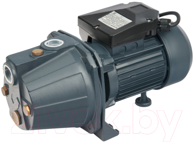 Поверхностный насос Unipump Jet 100 S - фото