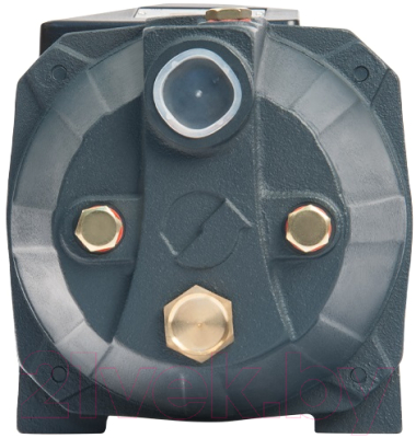 Поверхностный насос Unipump Jet 100 S
