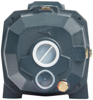 Поверхностный насос Unipump DP 750