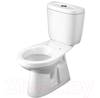 Унитаз напольный Santek Анимо 1WH302136